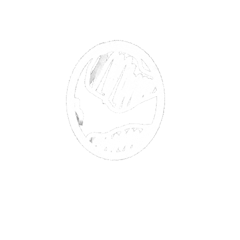 The Embassy Sticker