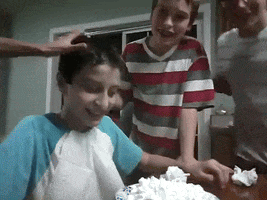 Pied In The Face GIF