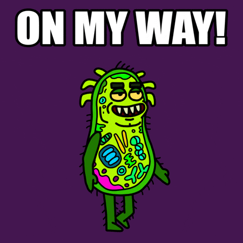 Lets Go Running GIF by herbertonic