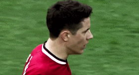 ander herrera