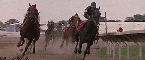 intense horse racing GIF