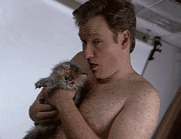 Celebrity gif. Shirtless Conan O'Brien holding a long-haired kitten and pretending to lick the kitten's head.