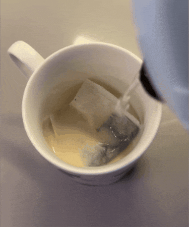 Flipcat GIF