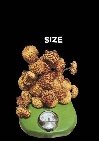Botany-Green flowers bloom scale weight GIF