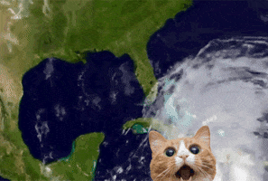 storm GIF