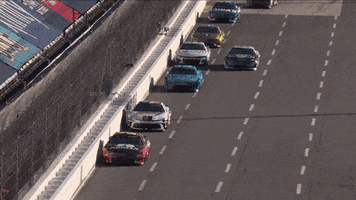 Martinsville Speedway Racing GIF by NASCAR