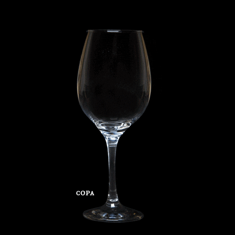 Black Rose Cocktail GIF by Rosa Negra