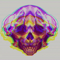 Skulls Mjkirk GIF