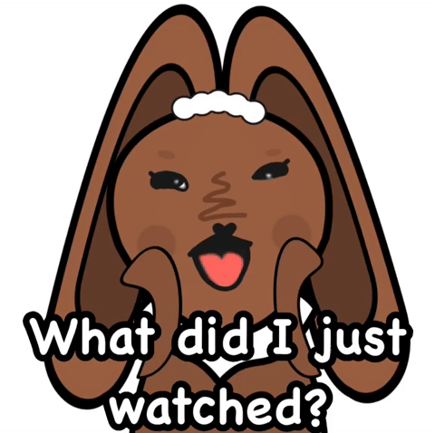 What Did I Just Watched GIF