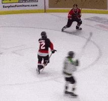 Whl GIF