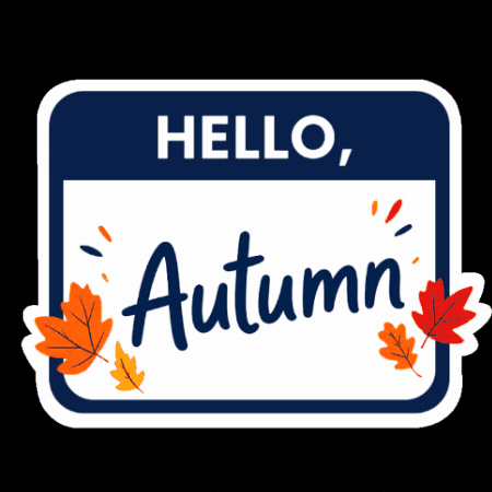 Autumn Leaves Fall GIF by Budapest Airport