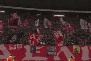 GIF by FK Crvena zvezda