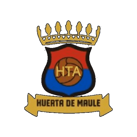 Futbolsanjavier Sticker