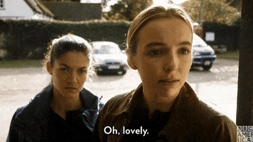 Killing Eve Thats Nice GIF by BBC America