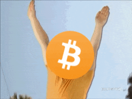 Bitcoin Flying GIF by Crypto GIFs & Memes ::: Crypto Marketing
