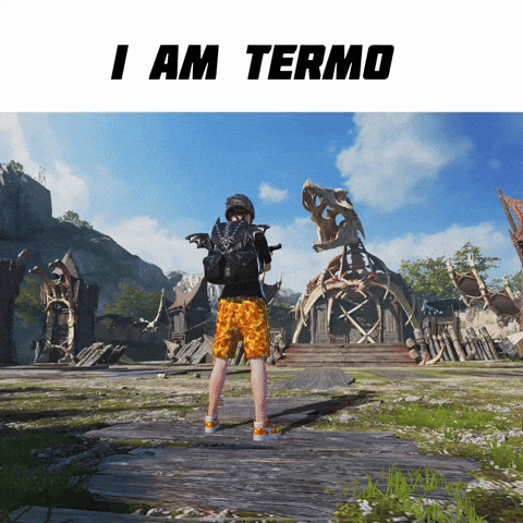 Termo GIF