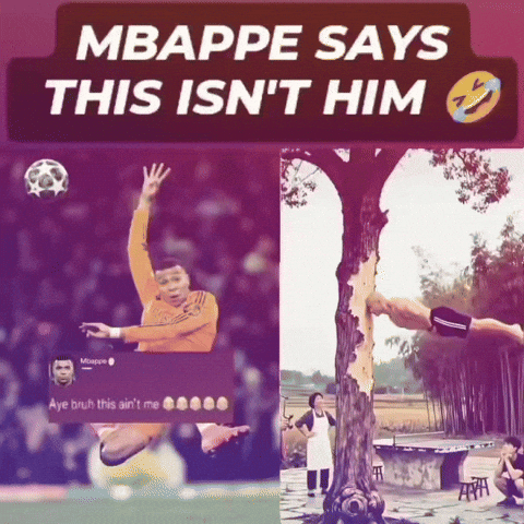Instagram Tree GIF