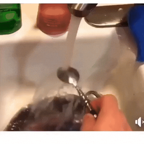 Splash Spoon GIF by moodman - Find & Share on GIPHY