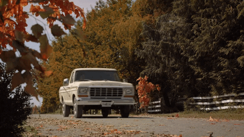 Falling For You Small Town GIF by Hallmark Channel - Find & Share on GIPHY