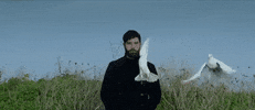 Yannis Philippakis Horses GIF by FOALS