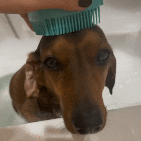 Escova de Banho para Animais de Estimação