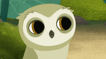 owl oops GIF by Puffin Rock