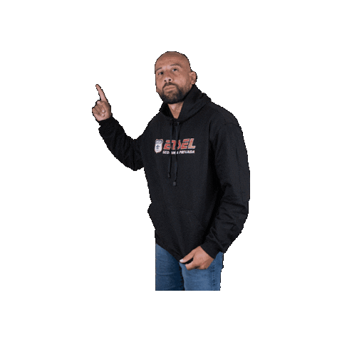 enselvigilancia Sticker