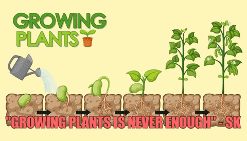 Plants-growing GIFs - Get the best GIF on GIPHY