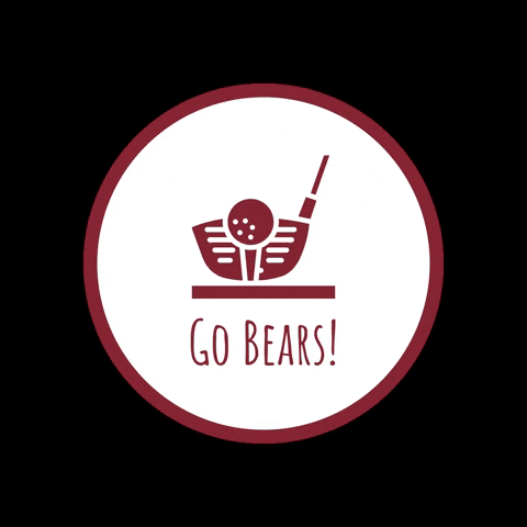 Golden Bears GIF by HIES Athletics