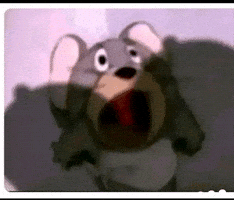 Whatt Siss GIF