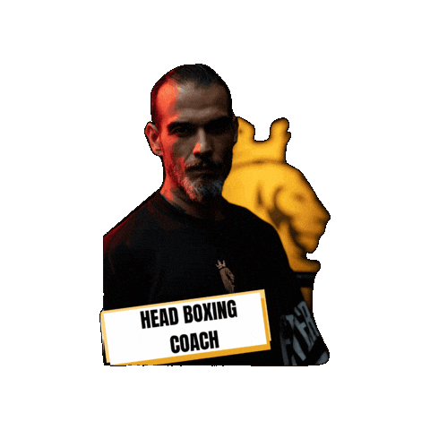 Real Boxing Club by Clemente Sticker