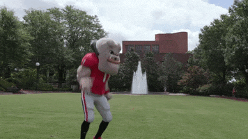 College Football Win GIF by University of Georgia