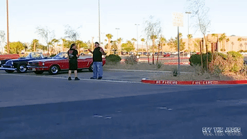 Cars GIF by Off The Jacks