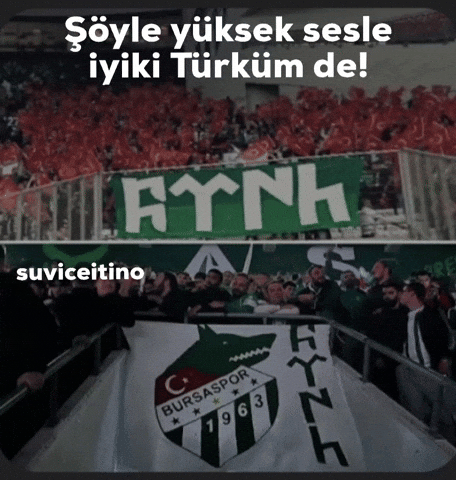 Amed GIF