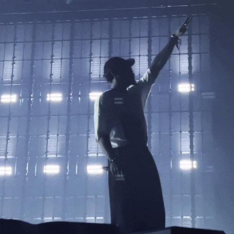 Concert Dems GIF