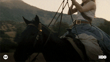 Season 2 Dolores GIF by Westworld HBO
