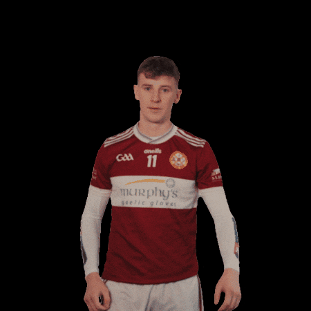All-Ireland GIF by AIB