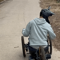 Bike Wheelchair GIF by ridedreiii