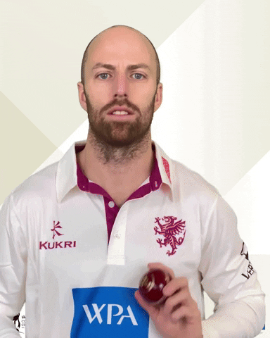 Cricket Ball GIF by Somerset County Cricket Club