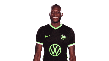 Social Media Sticker Sticker by VfL Wolfsburg