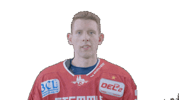 Hockey Family Sticker by Eisbären Regensburg