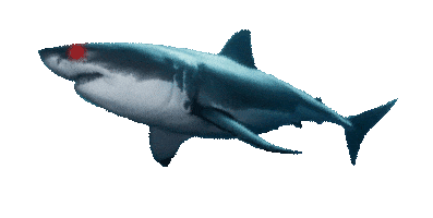 Dwightrawson Sticker