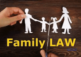 Bail Lawyers In Delhi GIF