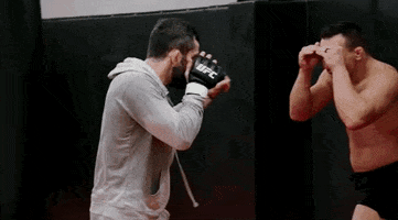 Mixed Martial Arts Mma GIF by UFC