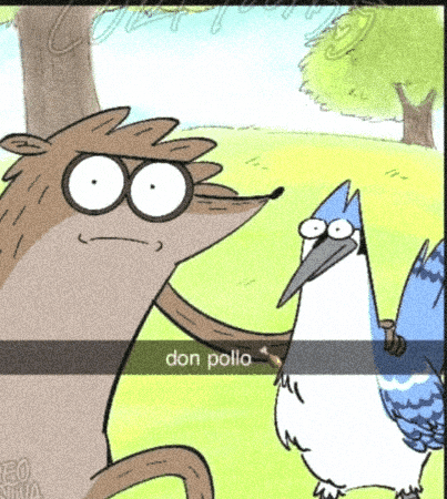 Chicken Network GIF