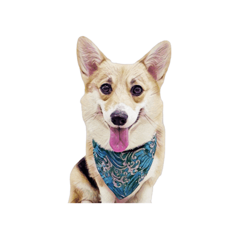 Corgisofmanila Sticker by Bellucci Manila