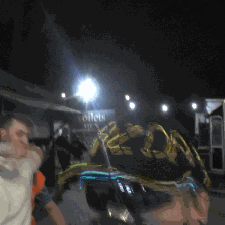Animated GIF