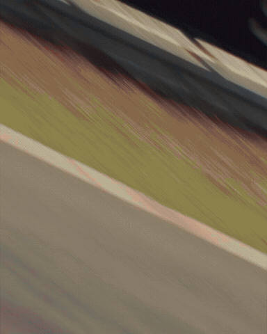 Racing Driver Win GIF by CAR Racing