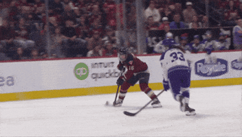Hockey Goalie GIF