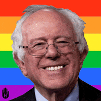 bernie sanders bern this way GIF